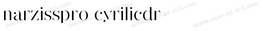 narzisspro cyrilicdr字体转换